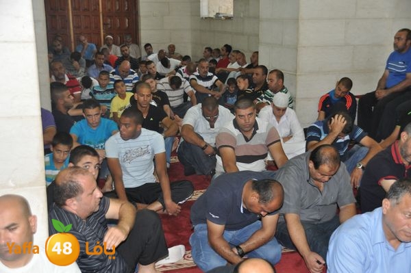 bazsalah lud 712 (10).JPG